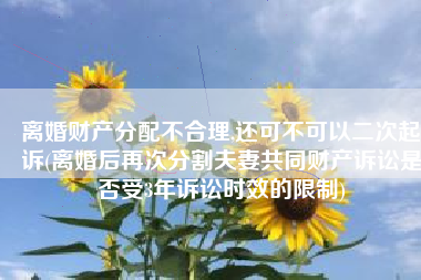 离婚财产分配不合理,还可不可以二次起诉(离婚后再次分割夫妻共同财产诉讼是否受3年诉讼时效的限制)