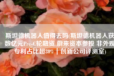 斯坦德机器人值得去吗(斯坦德机器人获数亿元Pre-C轮融资 蔚来资本参投 非外观专利占比超80%｜创新公司评测室)