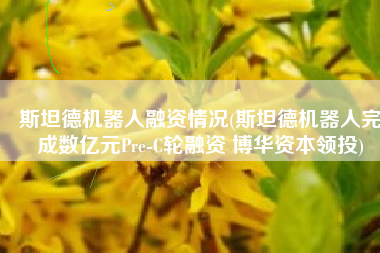 斯坦德机器人融资情况(斯坦德机器人完成数亿元Pre-C轮融资 博华资本领投)