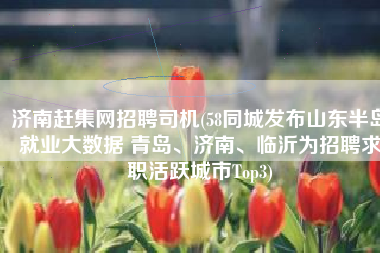 济南赶集网招聘司机(58同城发布山东半岛就业大数据 青岛、济南、临沂为招聘求职活跃城市Top3)