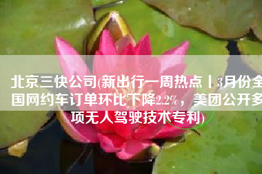 北京三快公司(新出行一周热点丨3月份全国网约车订单环比下降2.2%，美团公开多项无人驾驶技术专利)
