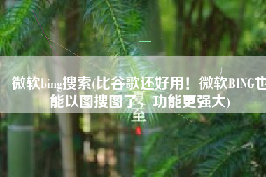 微软bing搜索(比谷歌还好用！微软BING也能以图搜图了，功能更强大)