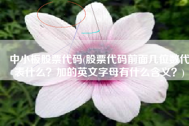 中小板股票代码(股票代码前面几位数代表什么？加的英文字母有什么含义？)