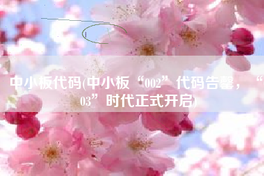 中小板代码(中小板“002”代码告罄，“003”时代正式开启)