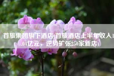 首旅集团旗下酒店(首旅酒店上半年收入19.04亿元，逆势扩张250家新店)