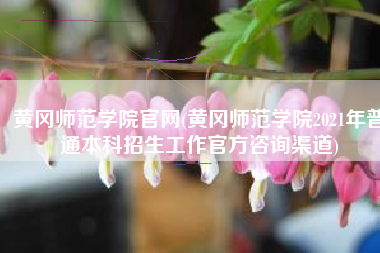 黄冈师范学院官网(黄冈师范学院2021年普通本科招生工作官方咨询渠道)