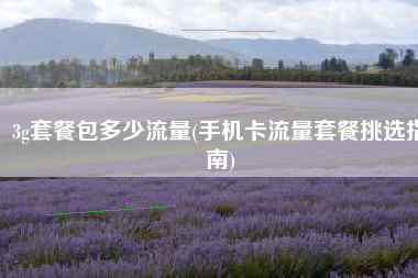 3g套餐包多少流量(手机卡流量套餐挑选指南)