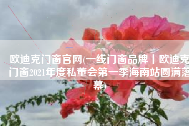欧迪克门窗官网(一线门窗品牌丨欧迪克门窗2021年度私董会第一季海南站圆满落幕)