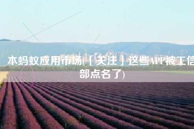 木蚂蚁应用市场(「关注」这些APP被工信部点名了)