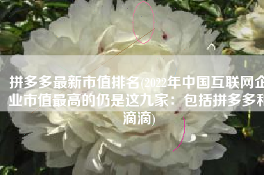 拼多多最新市值排名(2022年中国互联网企业市值最高的仍是这九家：包括拼多多和滴滴)