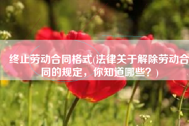 终止劳动合同格式(法律关于解除劳动合同的规定，你知道哪些？)