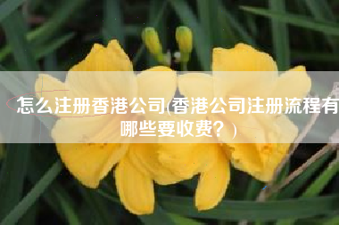怎么注册香港公司(香港公司注册流程有哪些要收费？)