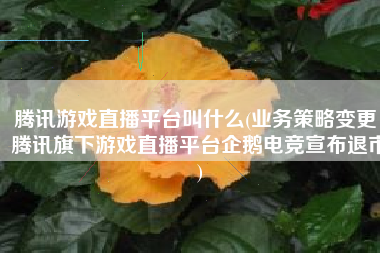 腾讯游戏直播平台叫什么(业务策略变更：腾讯旗下游戏直播平台企鹅电竞宣布退市)