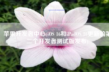 苹果开发者中心(iOS 16和iPadOS 16更新的第二个开发者测试版发布)