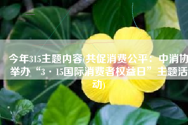 今年315主题内容(共促消费公平：中消协举办“3·15国际消费者权益日”主题活动)