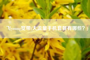 飞young宽带(大流量手机套餐有哪些？)