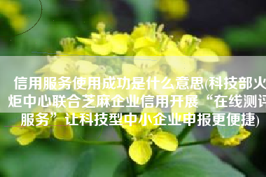 信用服务使用成功是什么意思(科技部火炬中心联合芝麻企业信用开展“在线测评服务”让科技型中小企业申报更便捷)