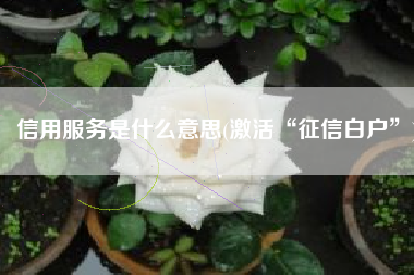 信用服务是什么意思(激活“征信白户”)