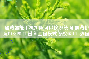 黑莓智能手机护照可以换系统吗(黑莓护照PASSPORT 进入工程模式修改4G LTE教程)