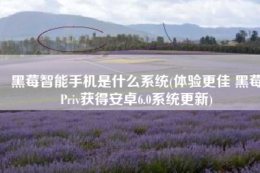 黑莓智能手机是什么系统(体验更佳 黑莓Priv获得安卓6.0系统更新)