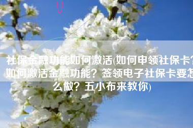 社保金融功能如何激活(如何申领社保卡？如何激活金融功能？签领电子社保卡要怎么做？五小布来教你)