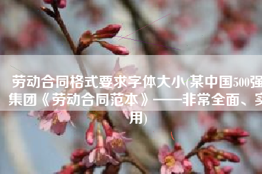 劳动合同格式要求字体大小(某中国500强集团《劳动合同范本》——非常全面、实用)