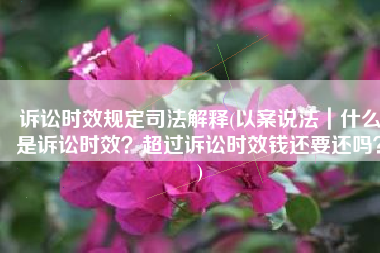 诉讼时效规定司法解释(以案说法｜什么是诉讼时效？超过诉讼时效钱还要还吗？)
