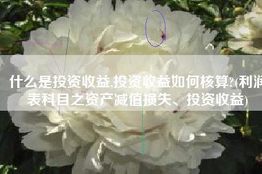 什么是投资收益,投资收益如何核算?(利润表科目之资产减值损失、投资收益)