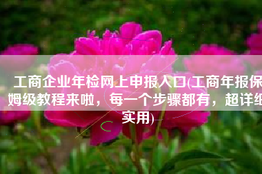 工商企业年检网上申报入口(工商年报保姆级教程来啦，每一个步骤都有，超详细实用)
