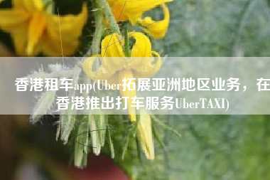 香港租车app(Uber拓展亚洲地区业务，在香港推出打车服务UberTAXI)