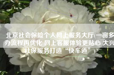 北京社会保险个人网上服务大厅(一窗多办流程再优化 网上客服体验更贴心 大兴社保服务打造“快车道”)