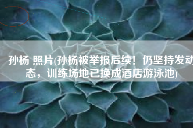 孙杨 照片(孙杨被举报后续！仍坚持发动态，训练场地已换成酒店游泳池)