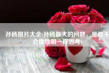 孙杨图片大全(孙杨最大的问题，是他不会像姚明一样思考)