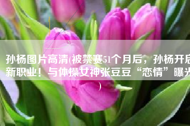 孙杨图片高清(被禁赛51个月后，孙杨开启新职业！与体操女神张豆豆“恋情”曝光)