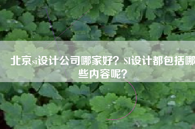 北京si设计公司哪家好？SI设计都包括哪些内容呢？