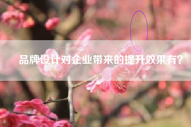 品牌设计对企业带来的提升效果有？