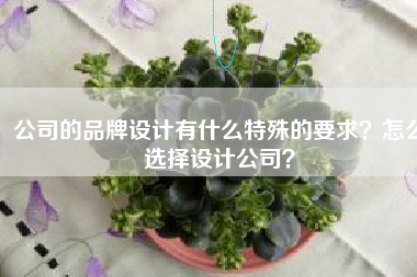 公司的品牌设计有什么特殊的要求？怎么选择设计公司？