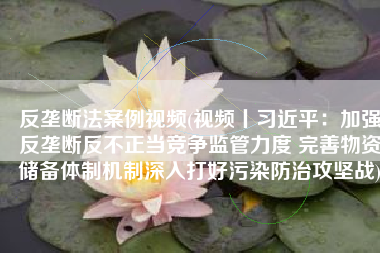 反垄断法案例视频(视频丨习近平：加强反垄断反不正当竞争监管力度 完善物资储备体制机制深入打好污染防治攻坚战)