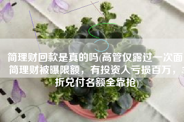 简理财回款是真的吗(高管仅露过一次面！简理财被曝限额，有投资人亏损百万，5折兑付名额全靠抢)