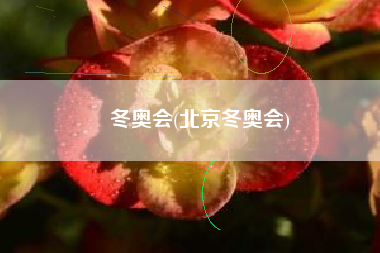 冬奥会(北京冬奥会)