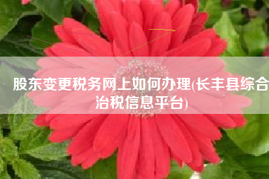 股东变更税务网上如何办理(长丰县综合治税信息平台)