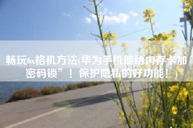 畅玩6x格机方法(华为手机能给内存卡加“密码锁”！保护隐私的好功能！)