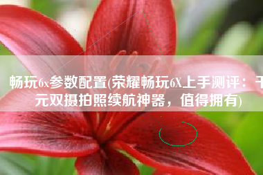 畅玩6x参数配置(荣耀畅玩6X上手测评：千元双摄拍照续航神器，值得拥有)