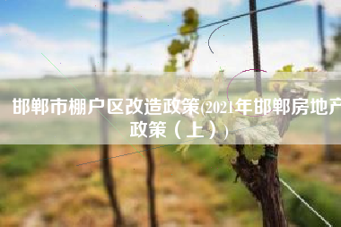 邯郸市棚户区改造政策(2021年邯郸房地产政策（上）)