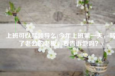 上班可以骂领导么(今年上班第一天，骂了老公的老板，要告诉他吗？)