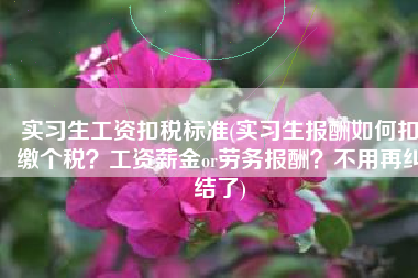 实习生工资扣税标准(实习生报酬如何扣缴个税？工资薪金or劳务报酬？不用再纠结了)