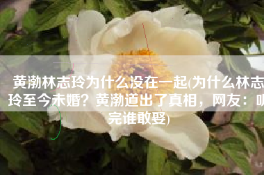 黄渤林志玲为什么没在一起(为什么林志玲至今未婚？黄渤道出了真相，网友：听完谁敢娶)