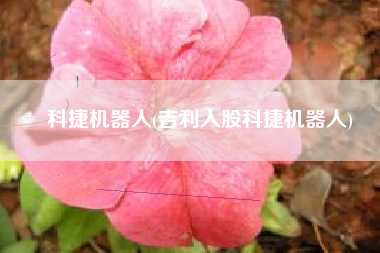 科捷机器人(吉利入股科捷机器人)