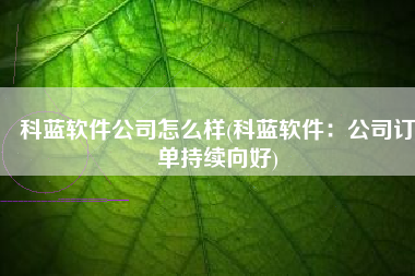 科蓝软件公司怎么样(科蓝软件：公司订单持续向好)