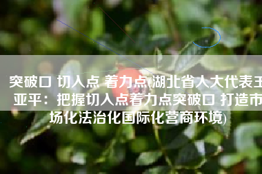 突破口 切入点 着力点(湖北省人大代表王亚平：把握切入点着力点突破口 打造市场化法治化国际化营商环境)